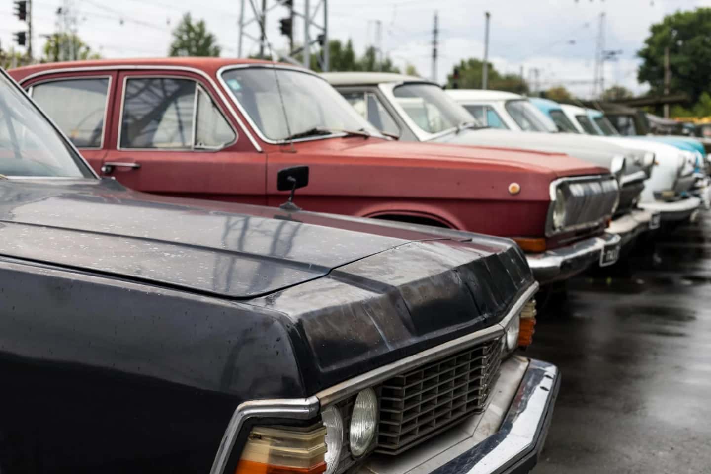 A row of classic sedans parked nose-out on wet tarmac