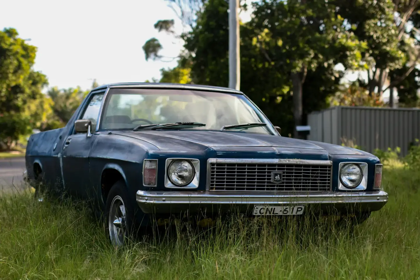 A 1970s Holden ute in long grass, old enough for a Victorian club permit